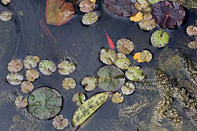 K歌音乐游戏《一起歌唱2025》​宣布11月发售